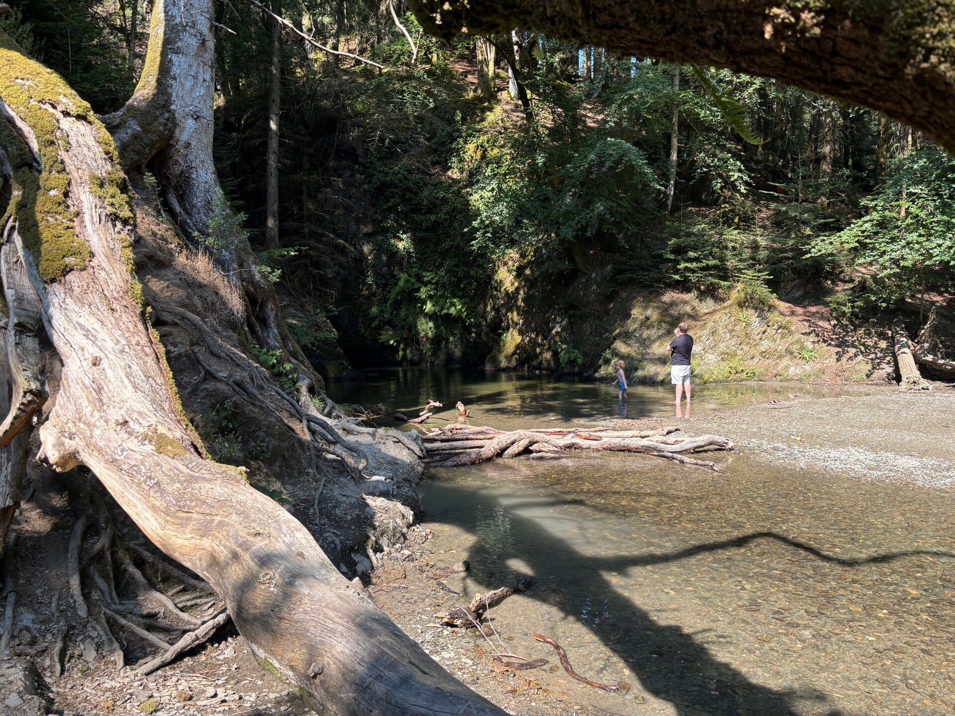 Ffynone Pool