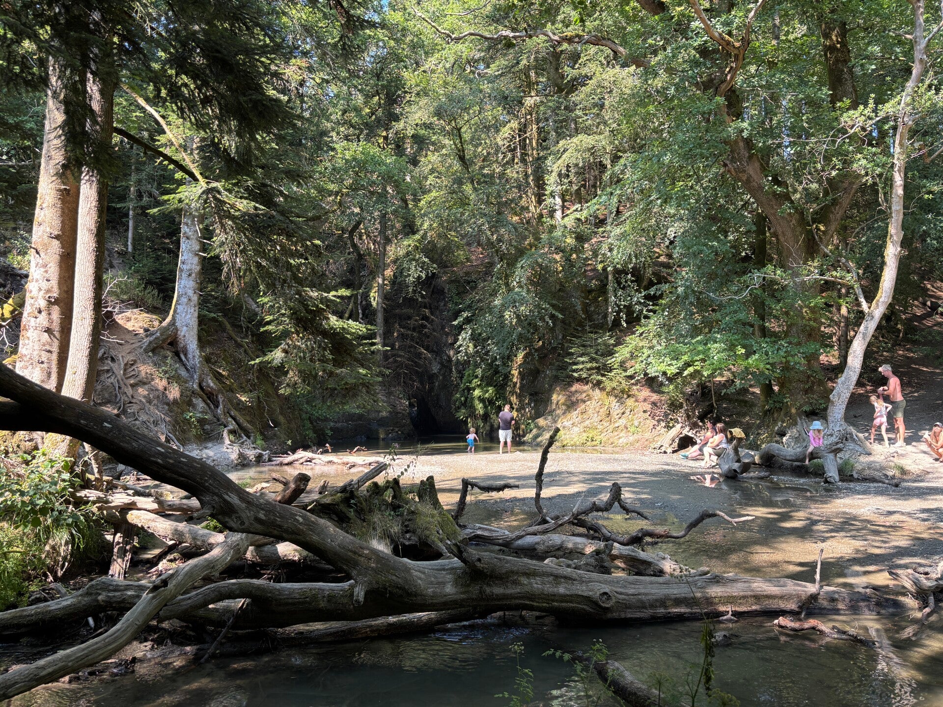 Families at Ffynone Falls
