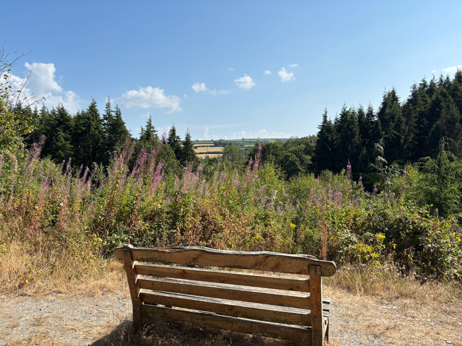 Views from bench across Cwm Blaen-Bwlan