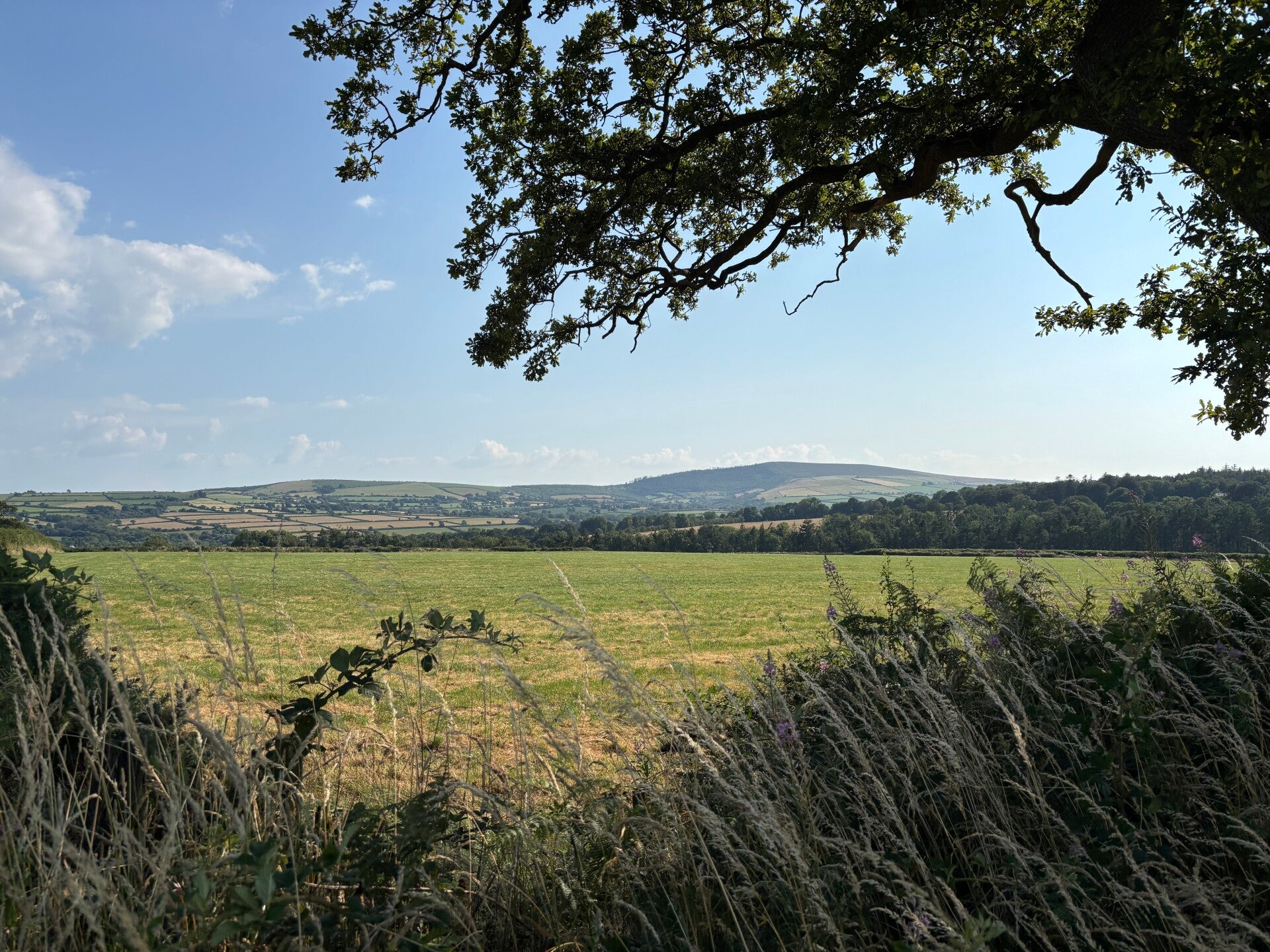 Distant views of the Preseli Hills from near Newchapel