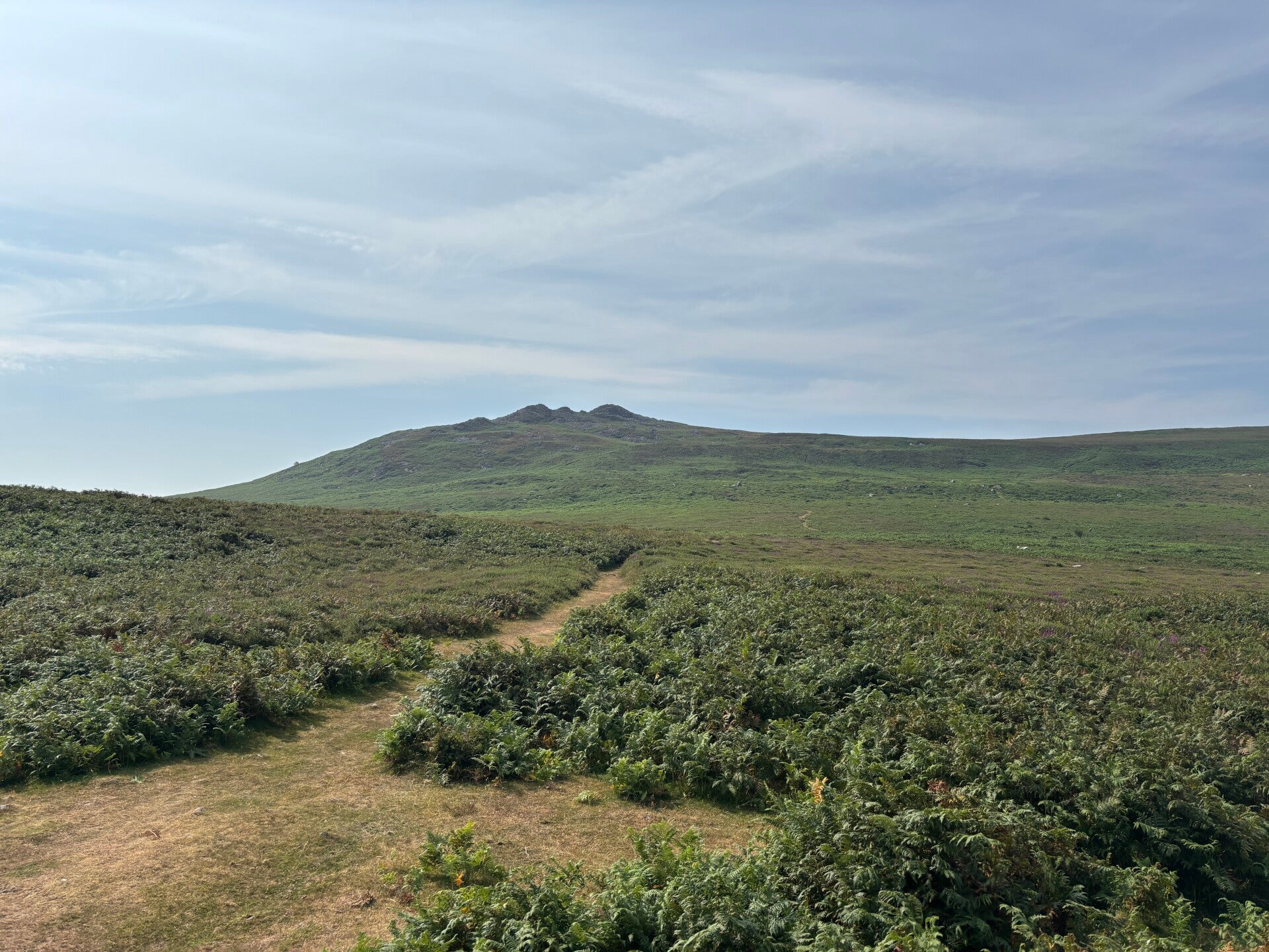 The route from Newport to Carningli summit