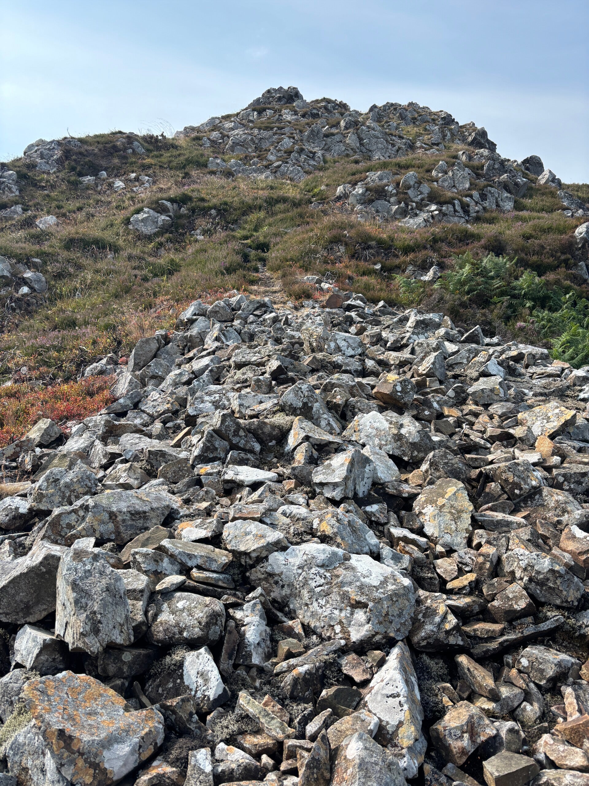 Stony top at Carningli