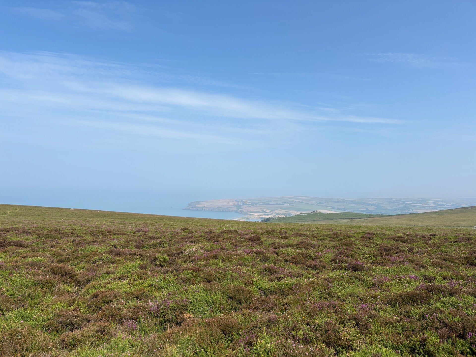 Carningli Common