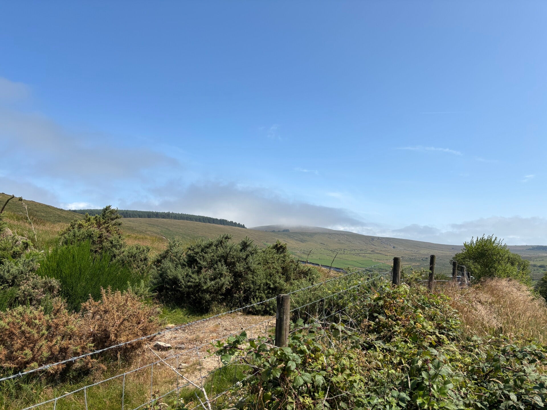 Golden Road-Preseli Hills from Rosebush