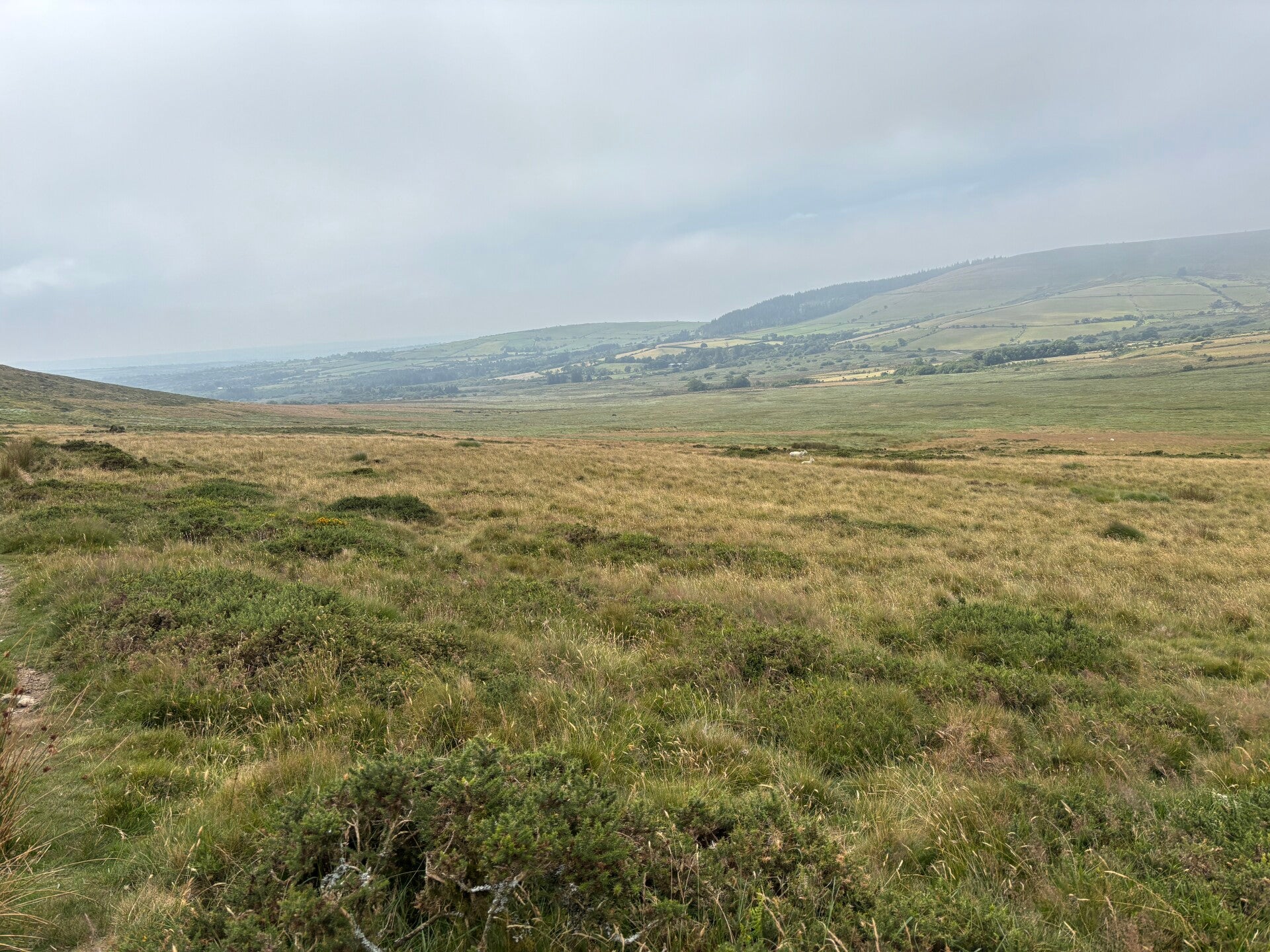 View from Golden Road-Preseli Hills-towards Maenclochog