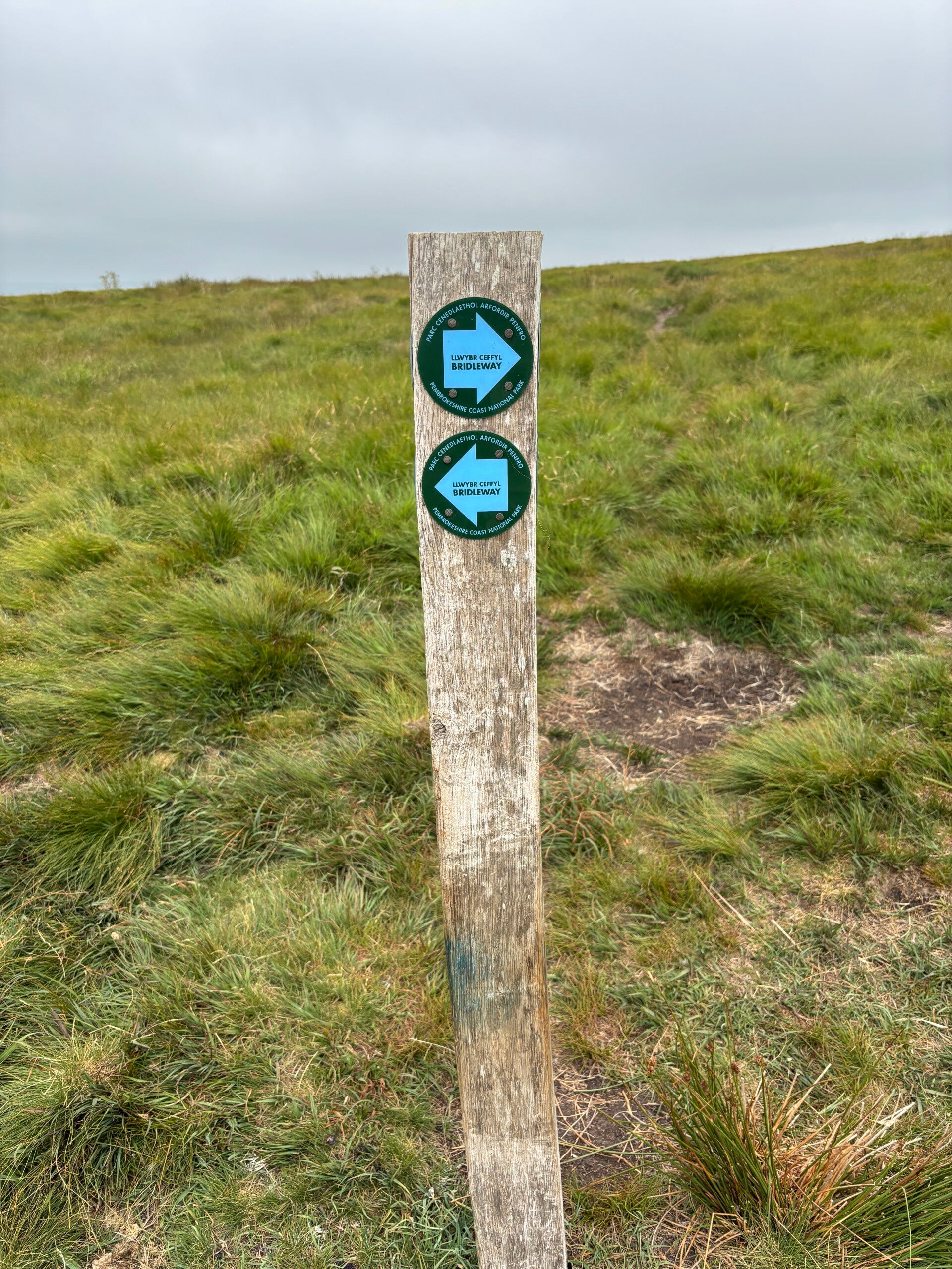 Waymarkers at Golden Road ridge