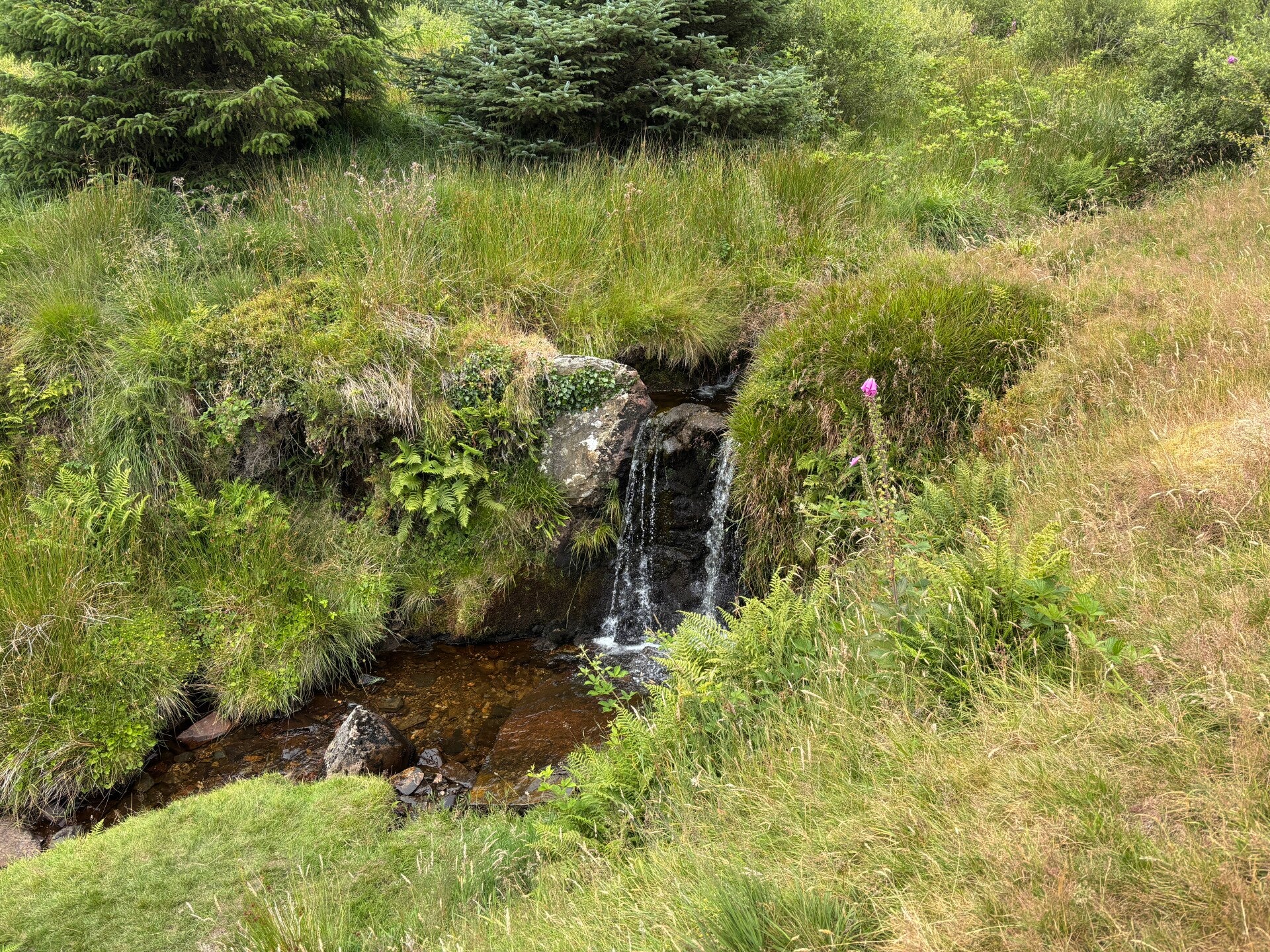 Waterfall near Mynydd Ddu-Pantmaenog Forest