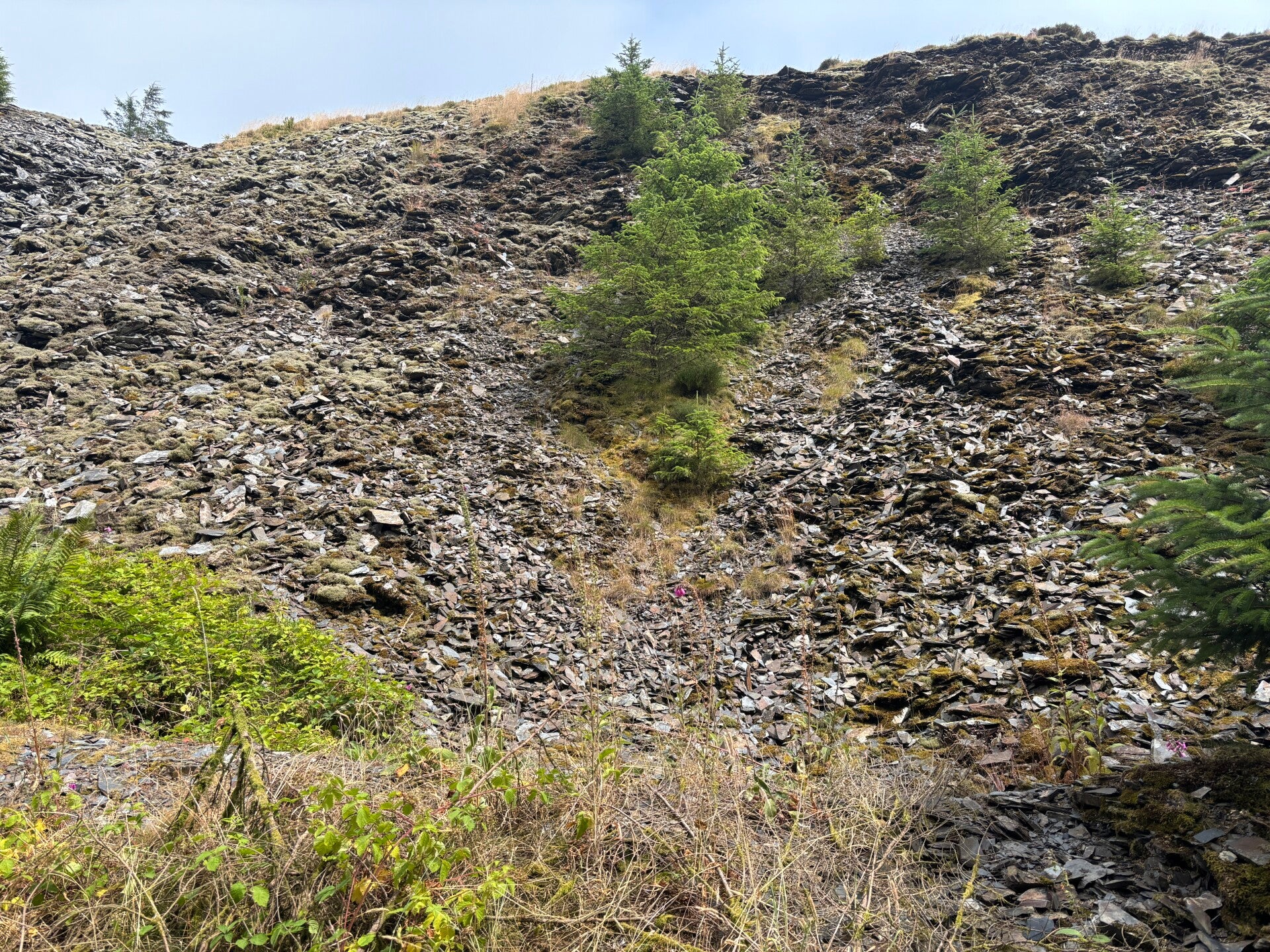 Remains of Bellstone Slate Quarry-Rosebush