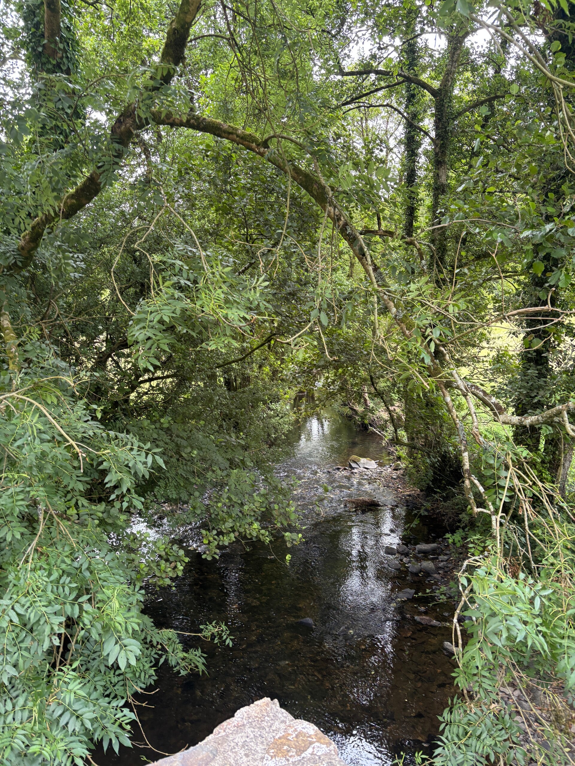 Afon Gwaun at the bridge in Pontfaen