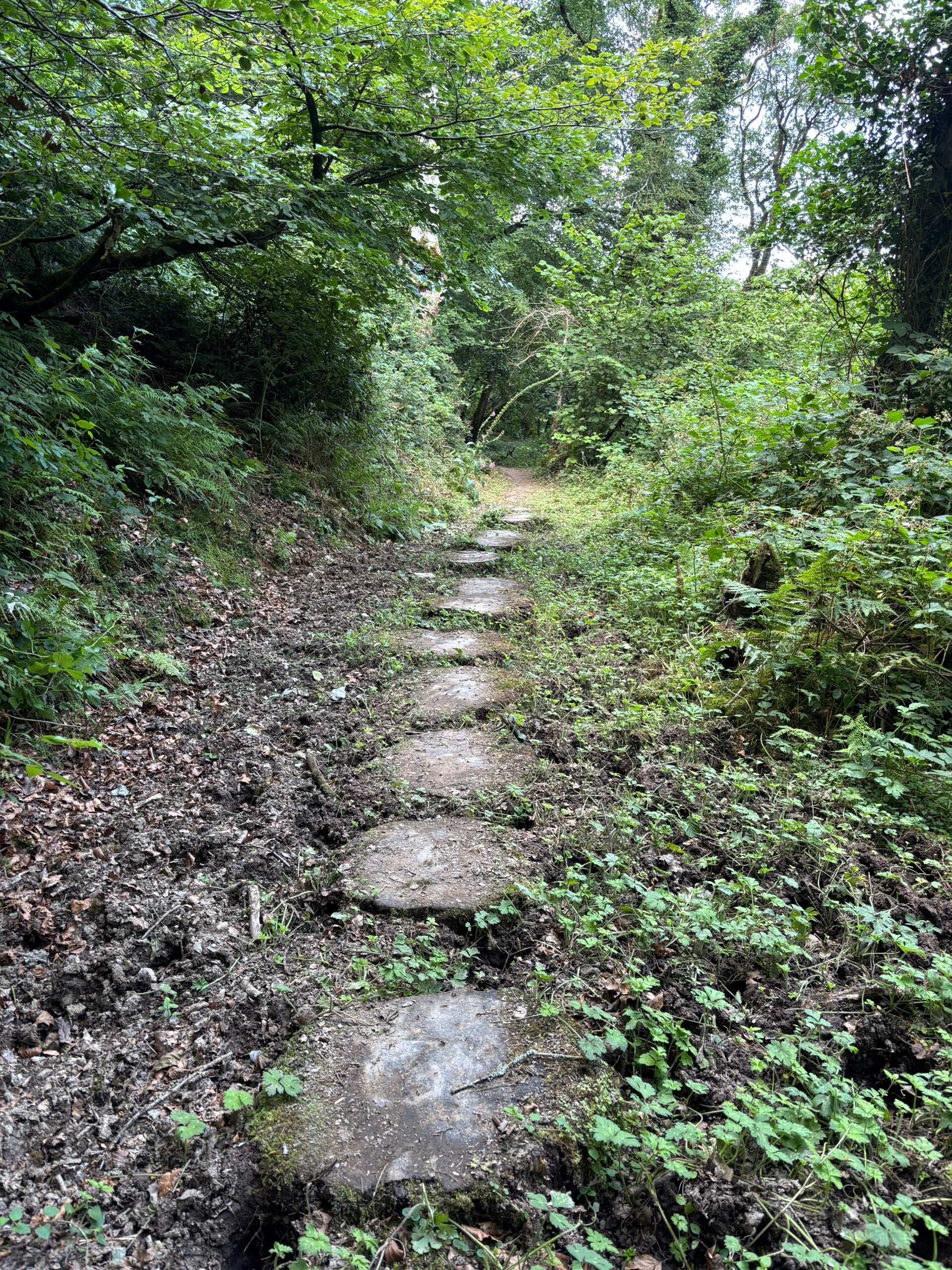 Stepping stones in Allt Pontfaen woods