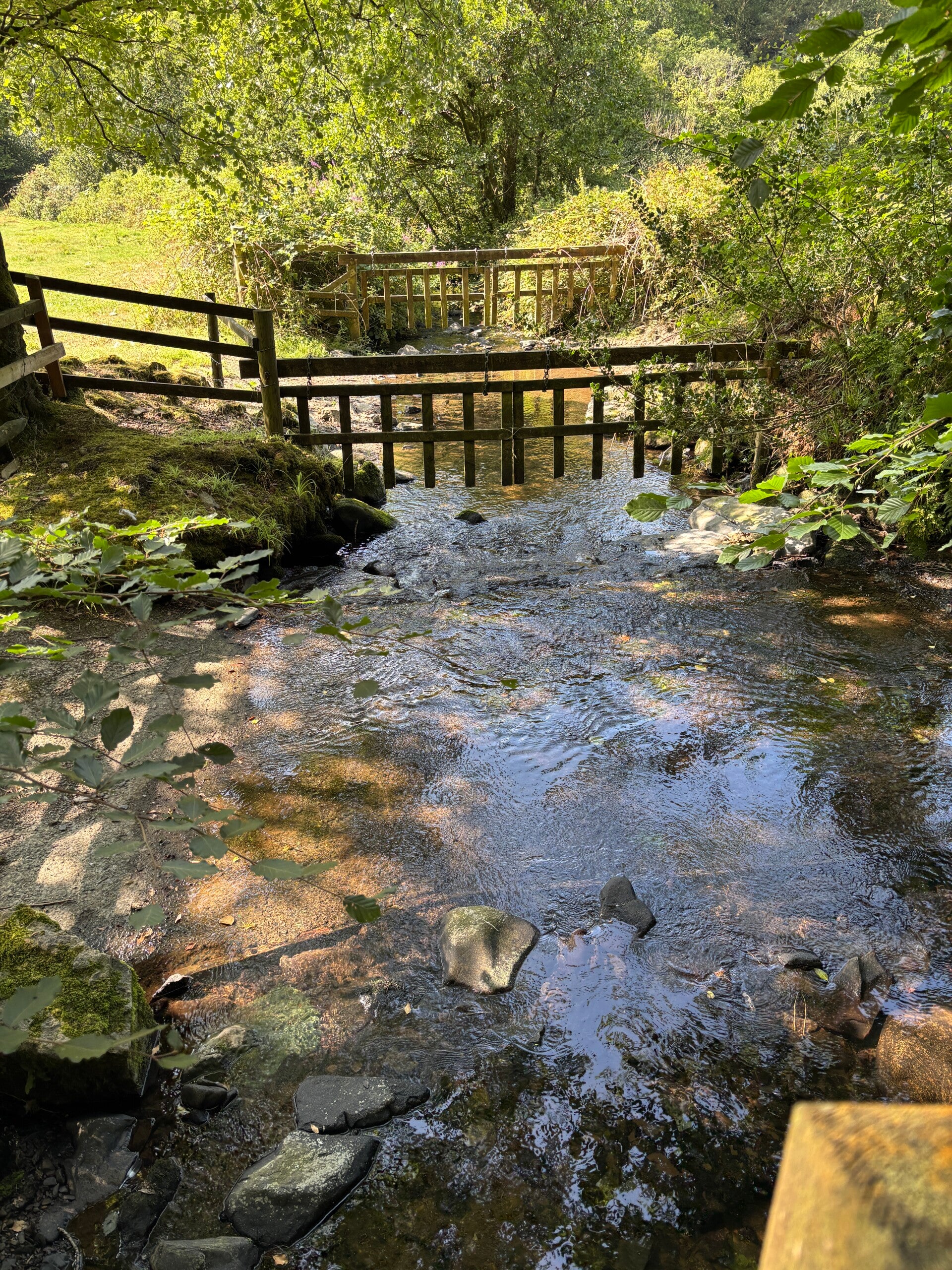 Livestock barrier on the Afon Gwaun