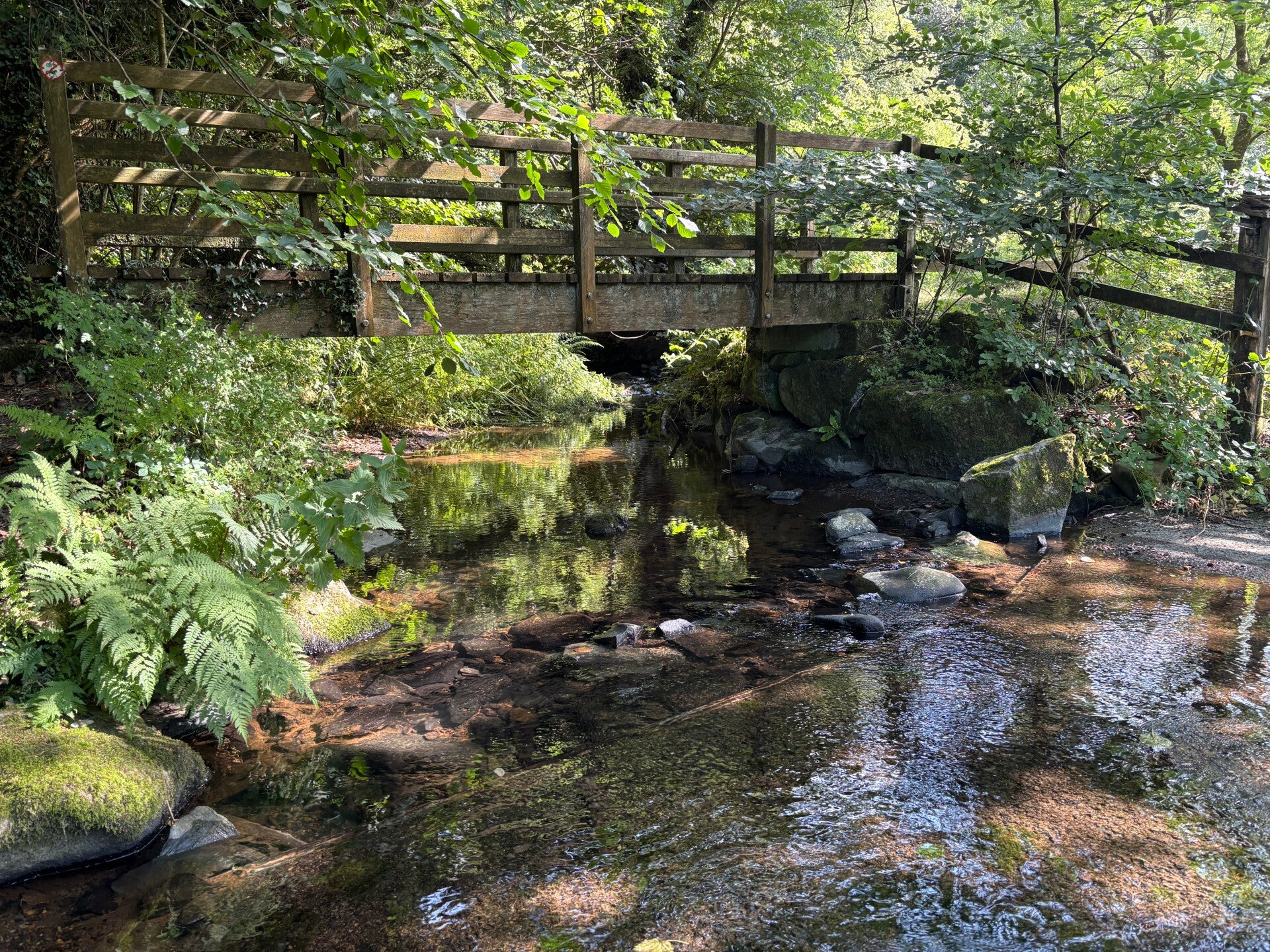 Footbridge over Afon Gwaun-Gwaun Valley