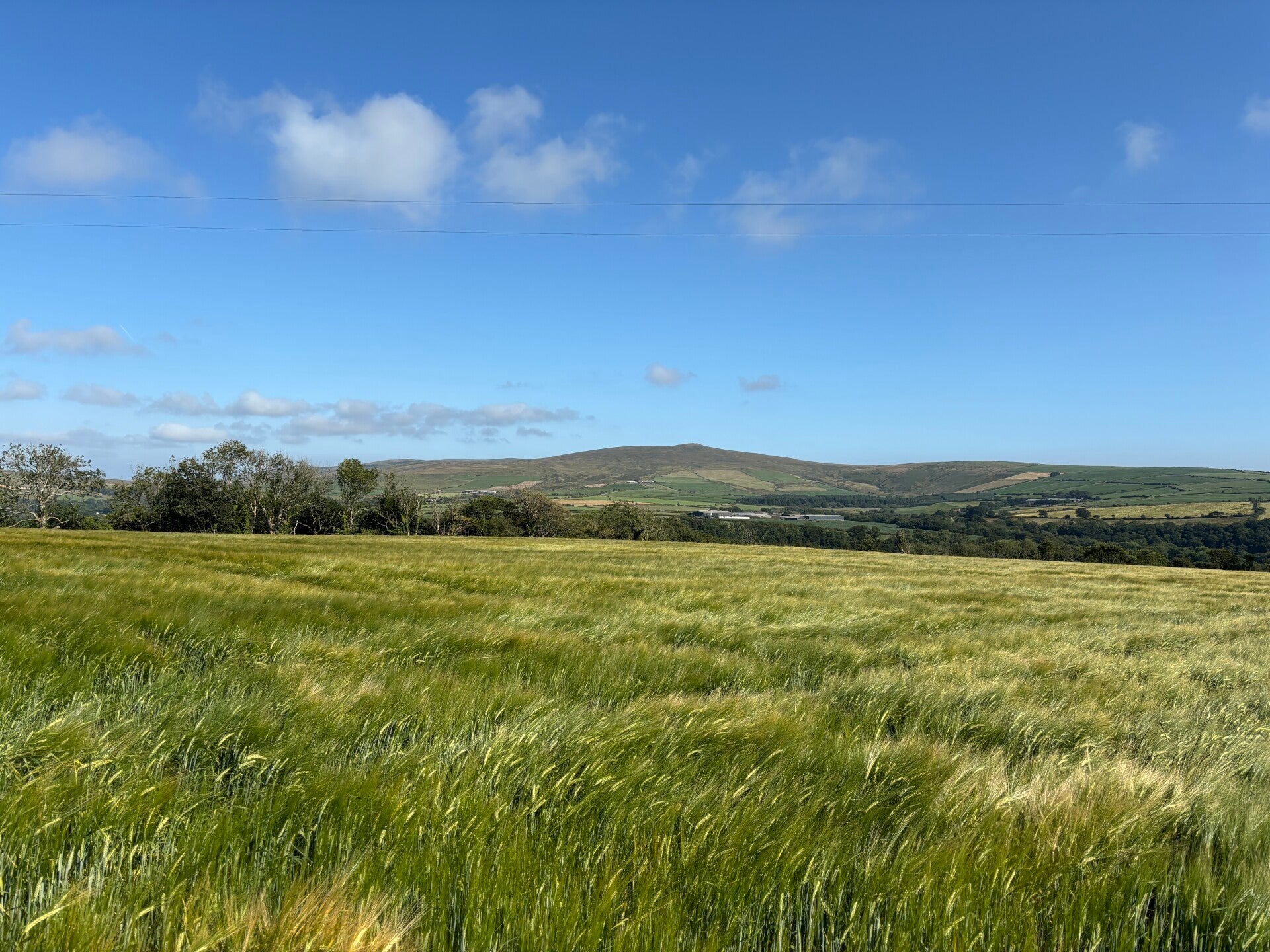 Views of Preseli and the Golden Road from Pen Gegin Uchaf Farm