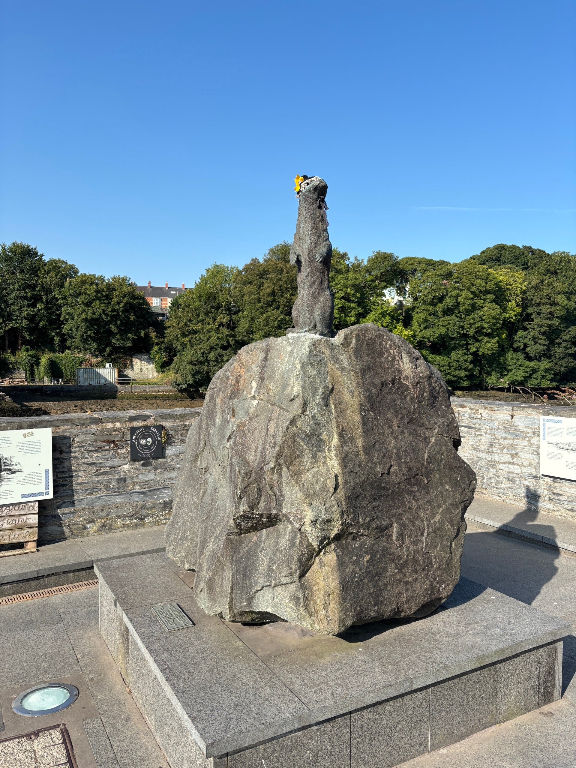 The Otter of Cardigan
