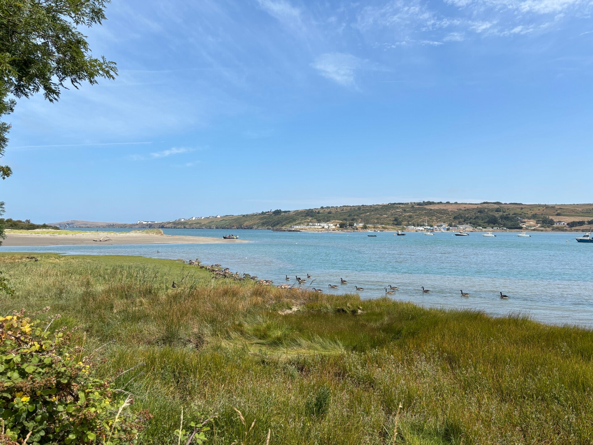 Estuary of River Teifi from Teifi Waterside Hotel