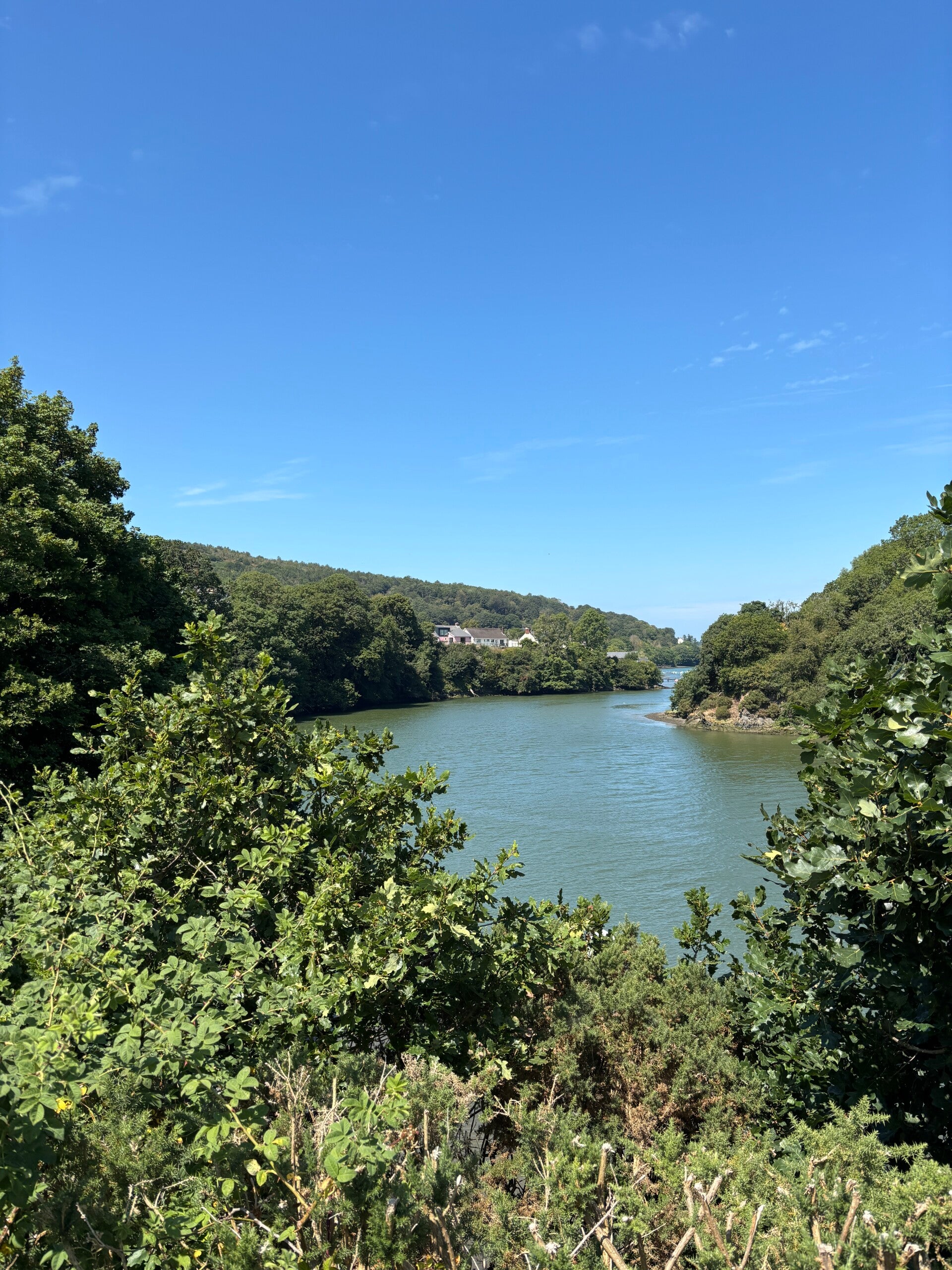 River Teifi looking towards the Ferry Inn-St Dogmaels