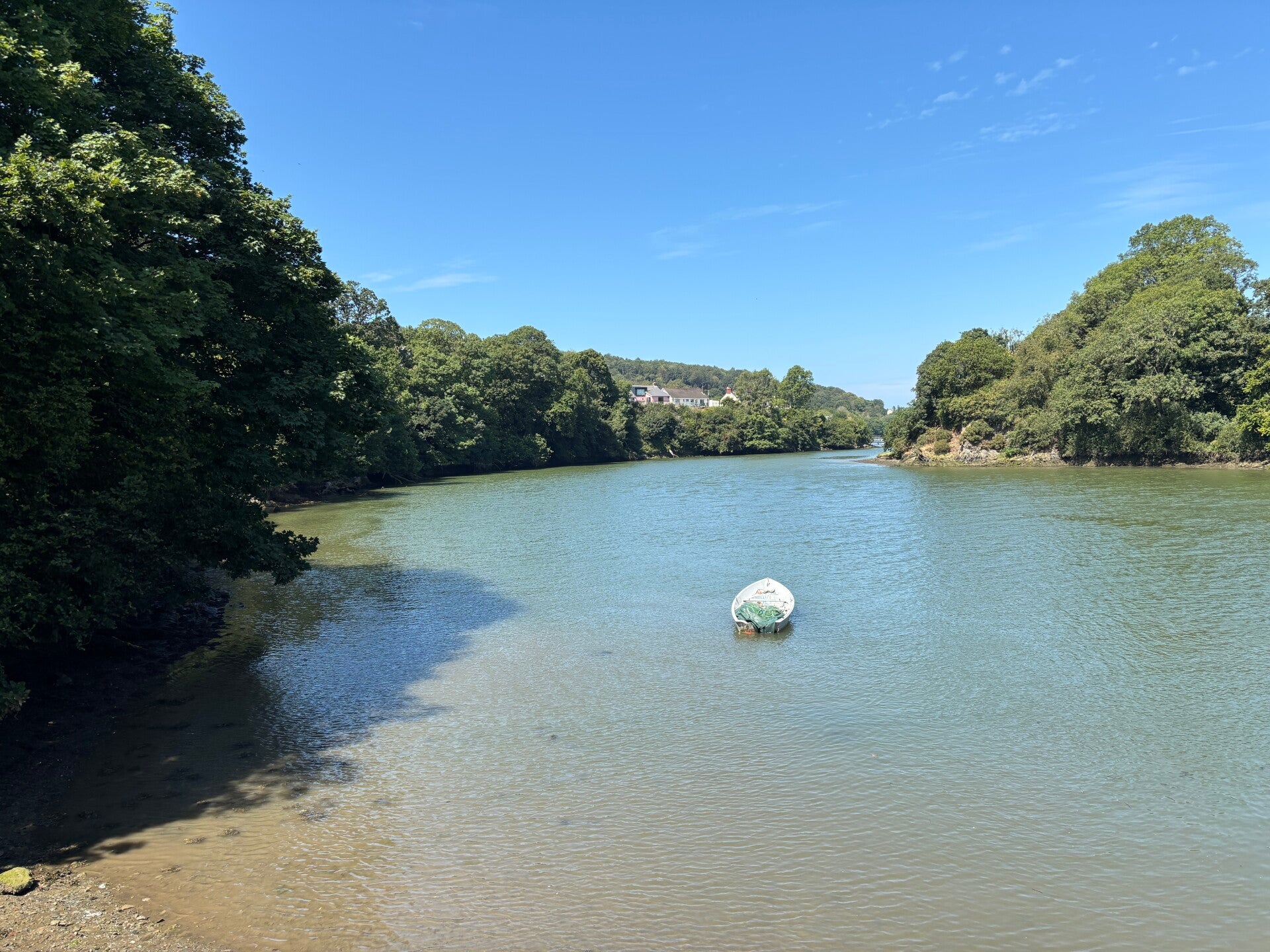 River Teifi near the famous birthing stone-St Dogmaels