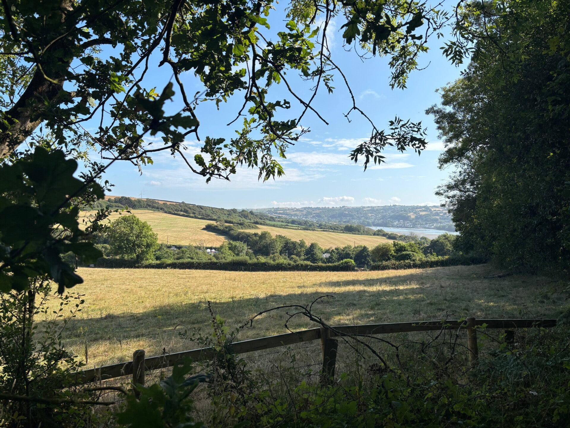 Views of the Teifi from Ferwig