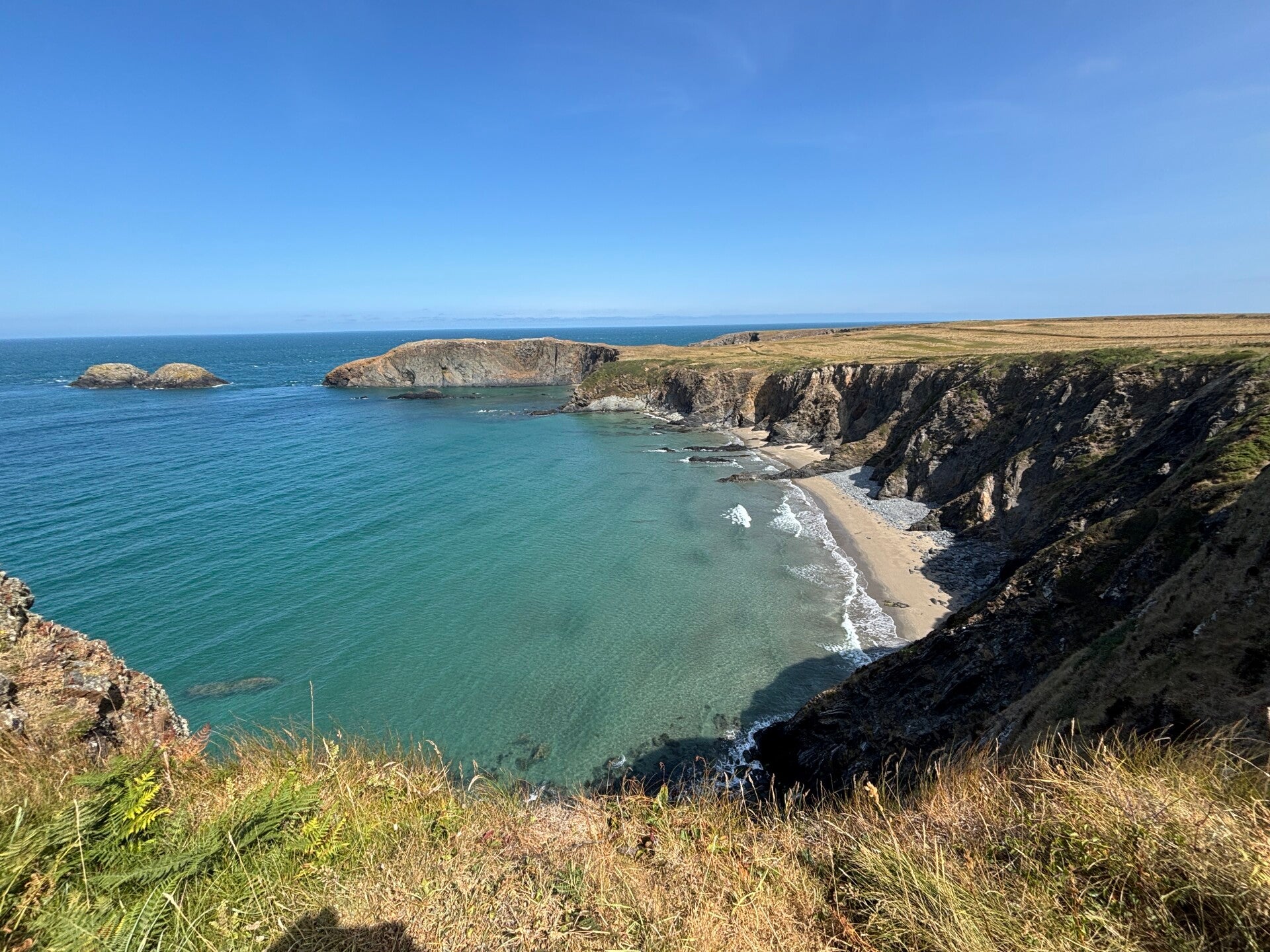 Treath Llyfn-near Abereiddi
