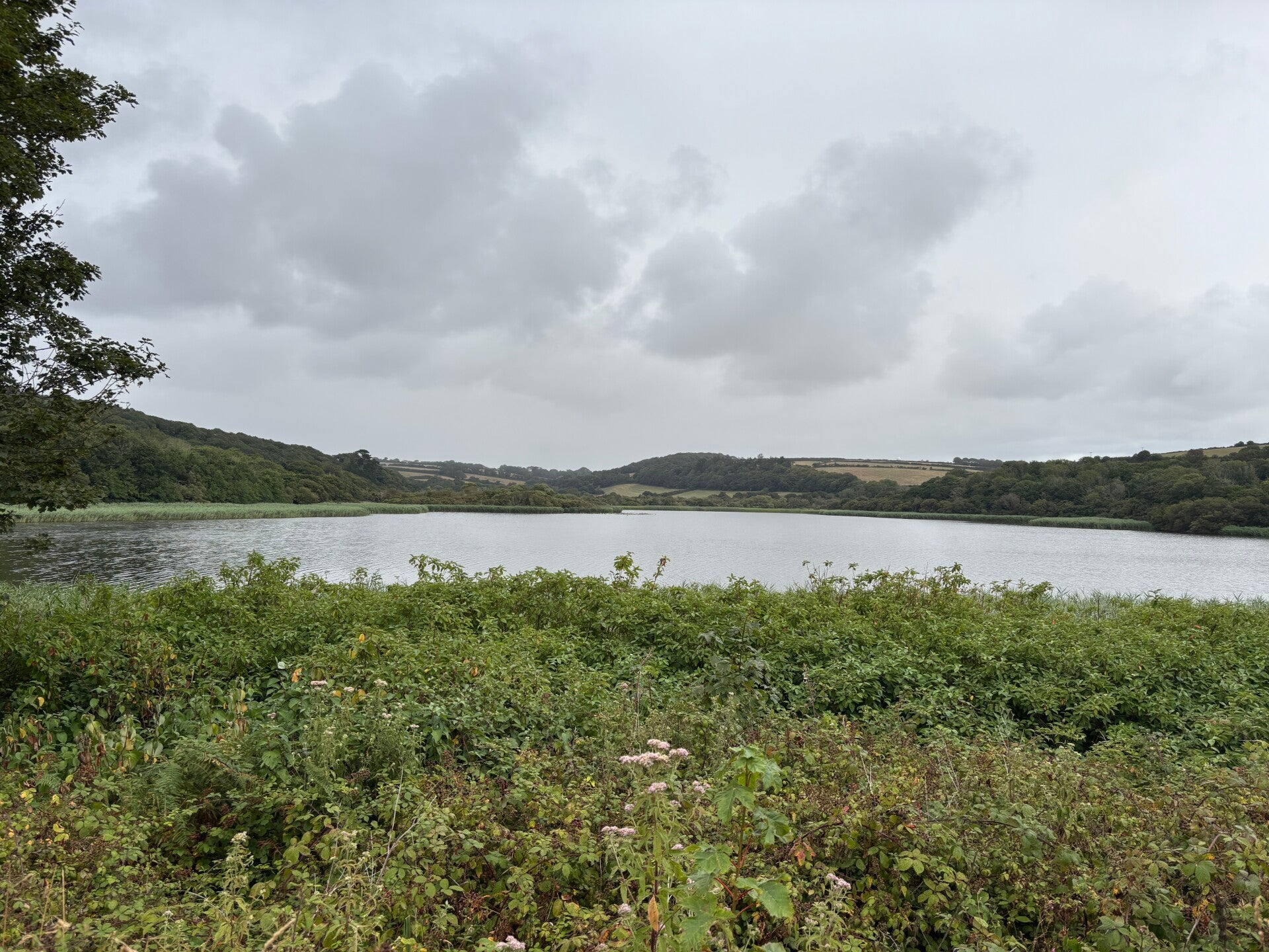 The Loe from the Penrose Estate