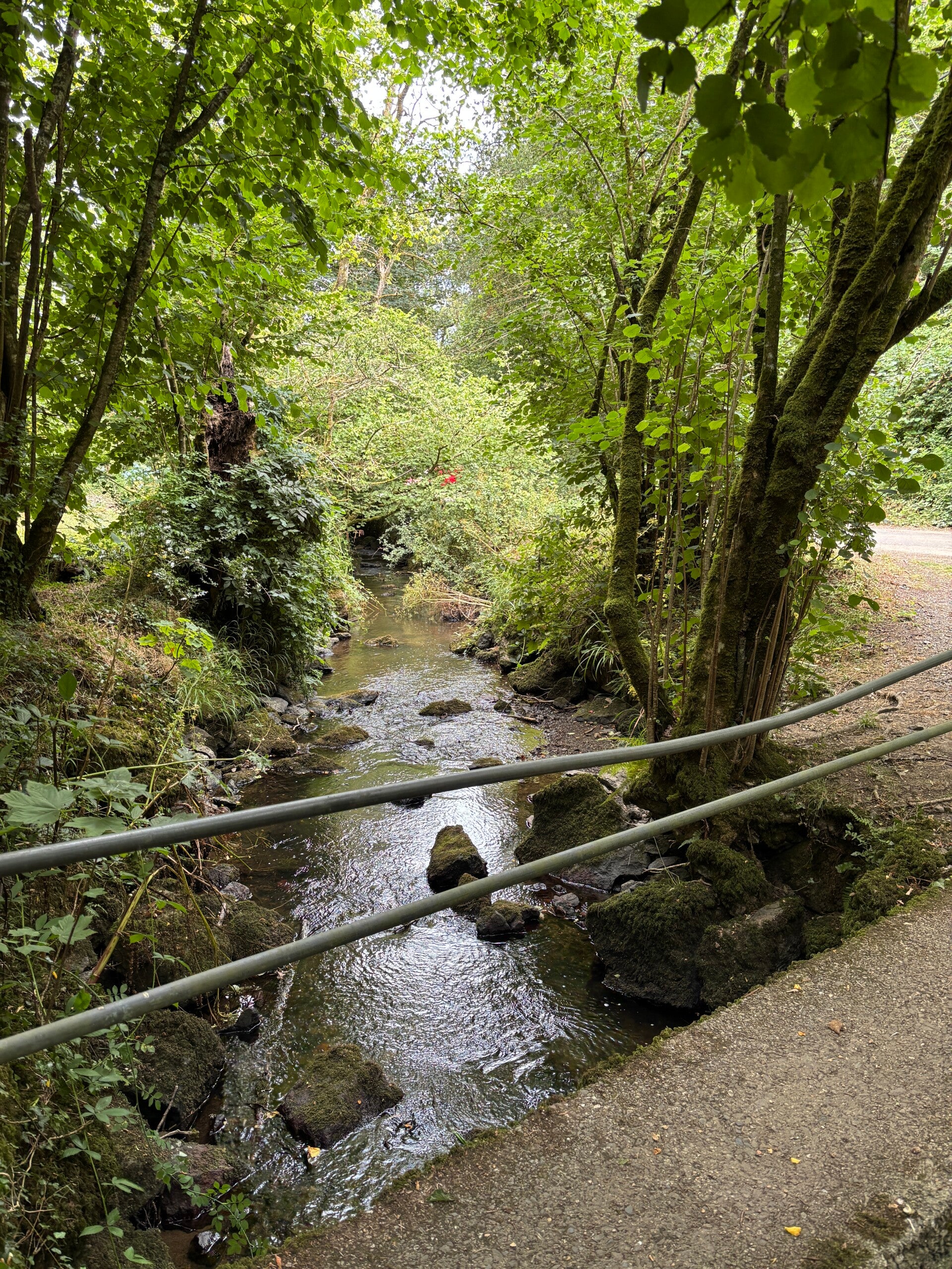 Footbridge to Manaccan