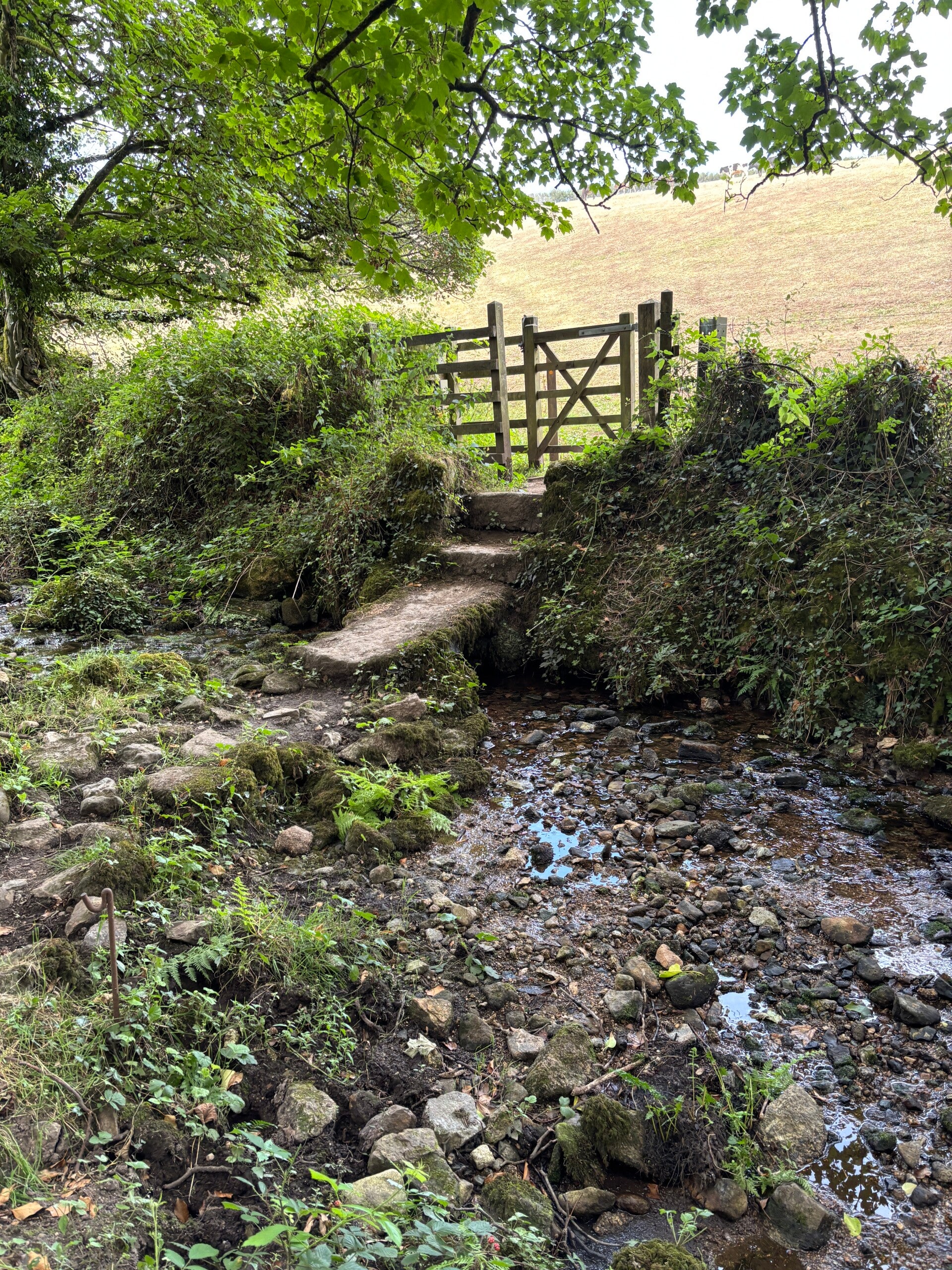 Footbridge crossing the Red River near Tregender Vean