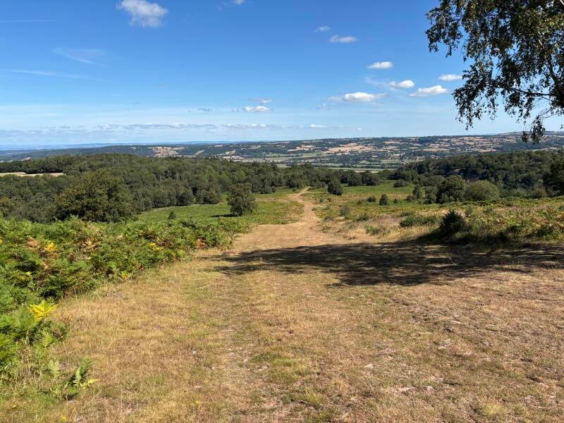 Looking down into Burrington Combe