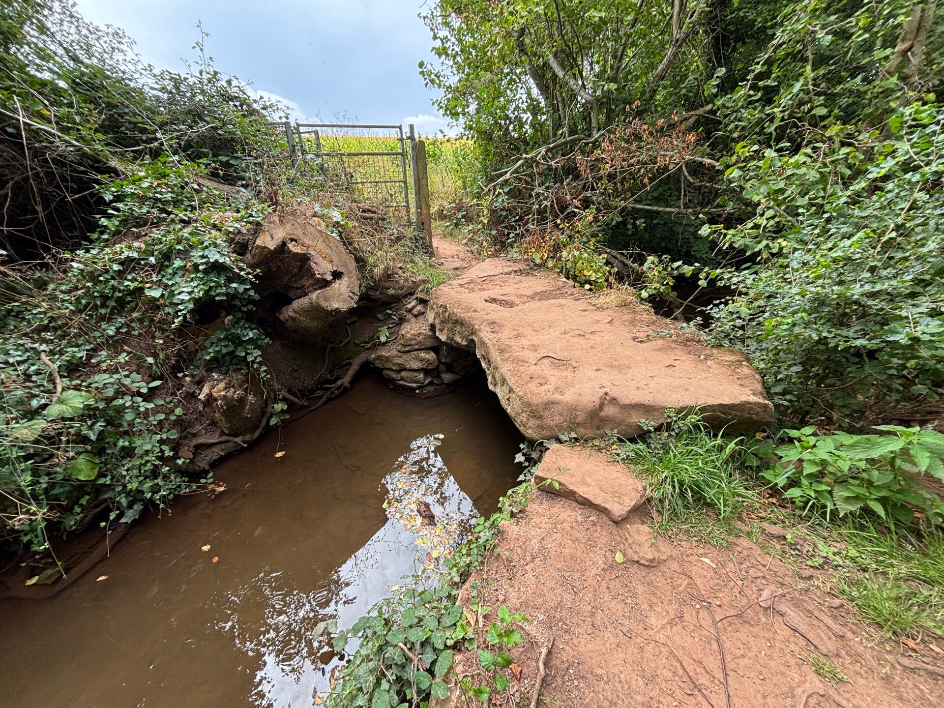 Ancient stone slab bridge over River Chew