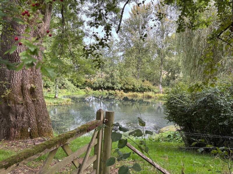 Ornamental pond near Snowshill