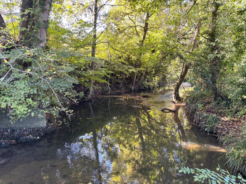By Brook below St Thomas a Becket Church in Box