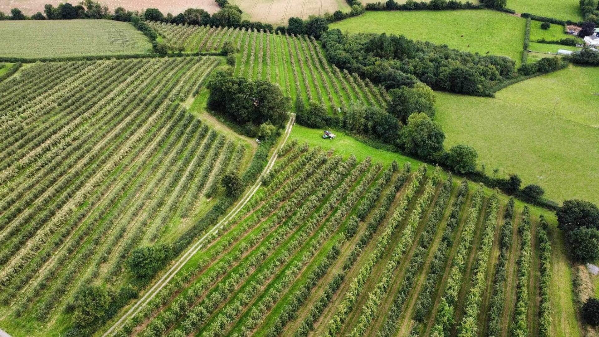 Orchards at Stockleigh English