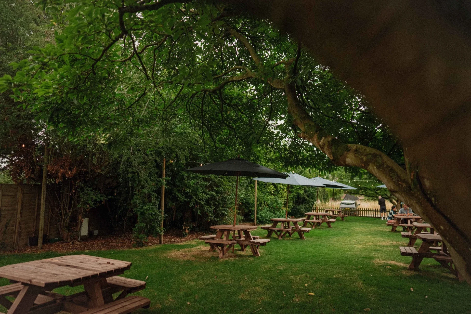 Pub Garden, The Red Lion, Peppard Common
