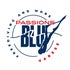 passionebluvarese.it