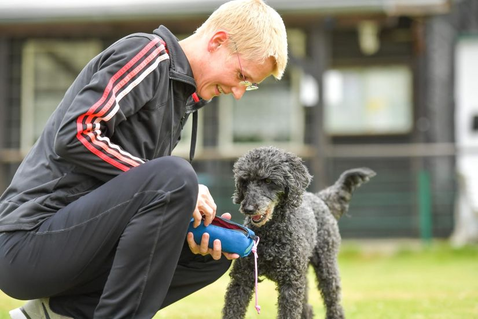 Hundetrainer Hundeschule Ina Niemann Cuxhaven