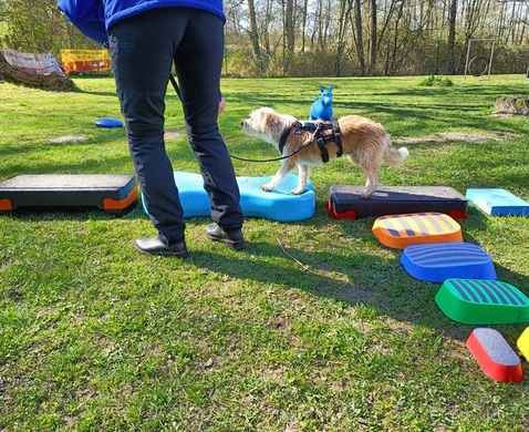 Mobility Fitnessparcours