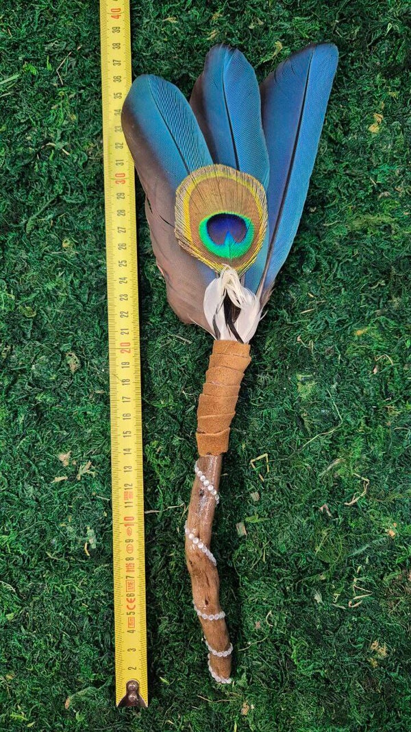 Ara, Pfauen Auge und Enten Bürzel