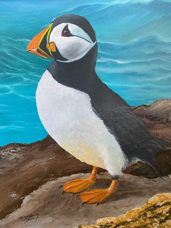 The Watchful Puffin