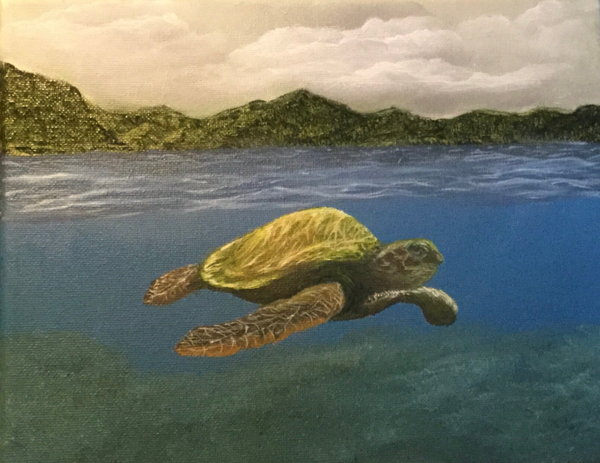 Sea Turtle (Prints Only)