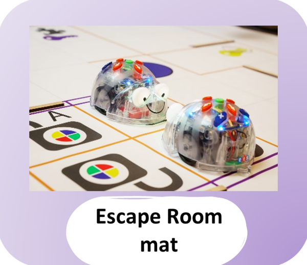 Blue Bot & Escape Room mat | periode 4