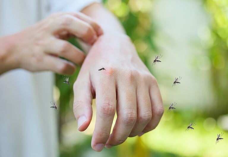 Malaria Prevention Treatment