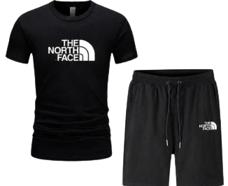 Chandal North Face