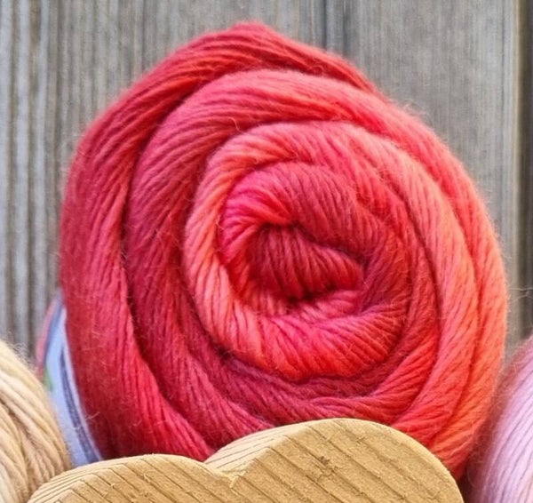 year socks rot 10