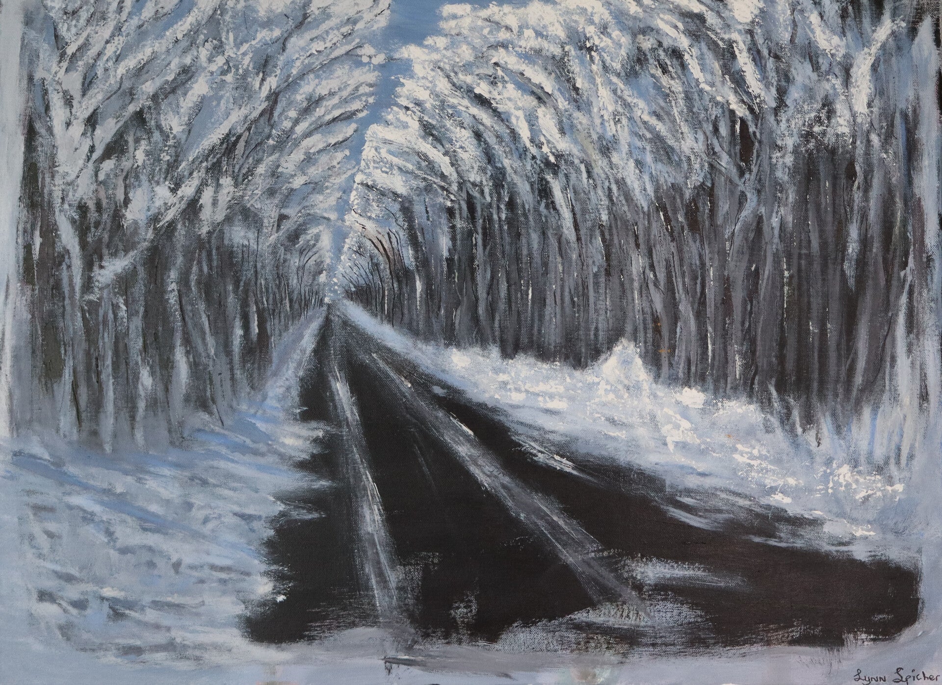 Le Chemin Enneigé / Snowy Path