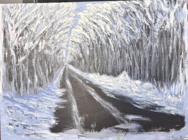 Le Chemin Enneigé / Snowy Path