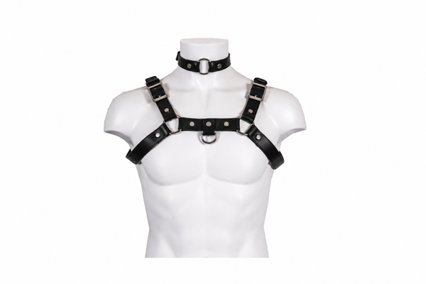 HARNESS HAMBURG - Leather, black