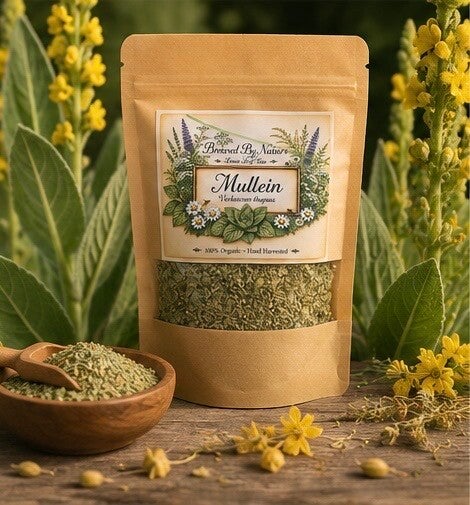 Loose Leaf Mullein “Verbascum thapsus” 1oz