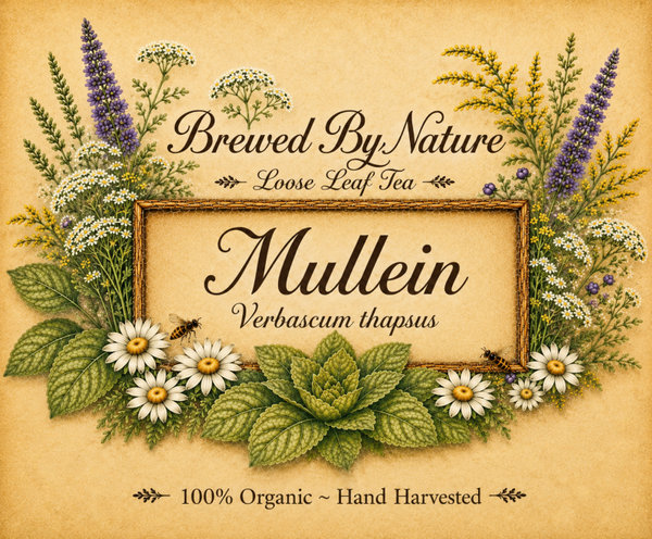 Mullein Tea 1oz
