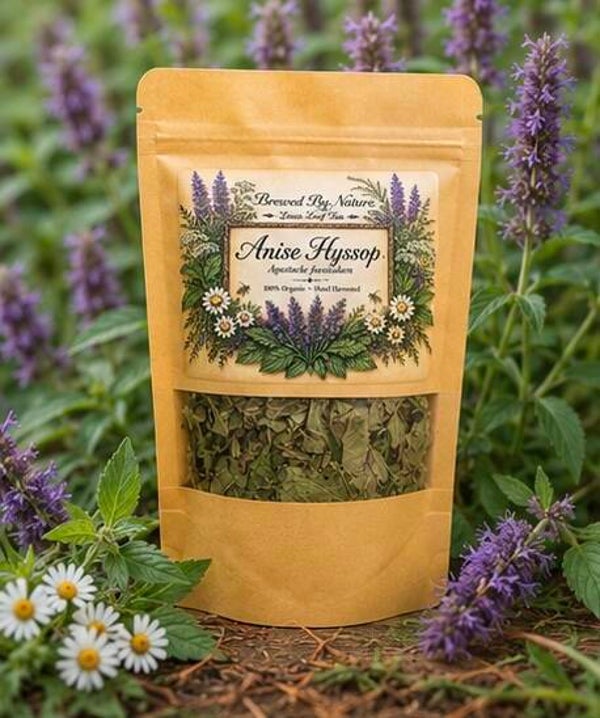 Loose leaf Anise Hyssop “Agastache Foeniculum”  1oz