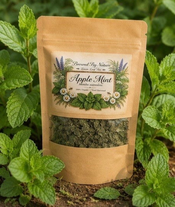 Loose leaf Apple Mint “Mentha suaveolens” loose leaf tea 1oz