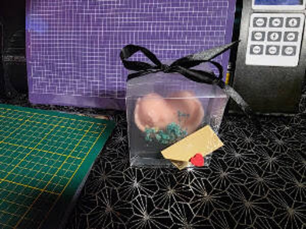 Luxe Kaarsen In Transparante Cadeaubox-Handgemaakte Wasbloemen